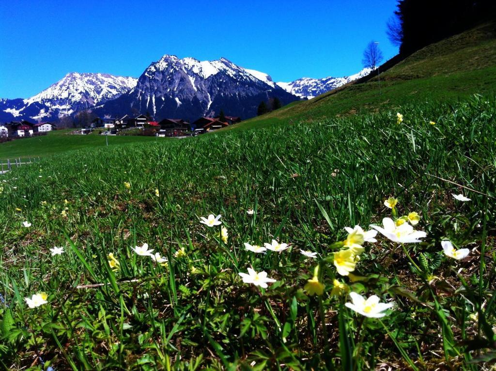 Hotel Bergruh Oberstdorf Bagian luar foto